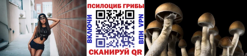 Псилоцибиновые грибы MAGIC MUSHROOMS  даркнет сайт  Буинск 